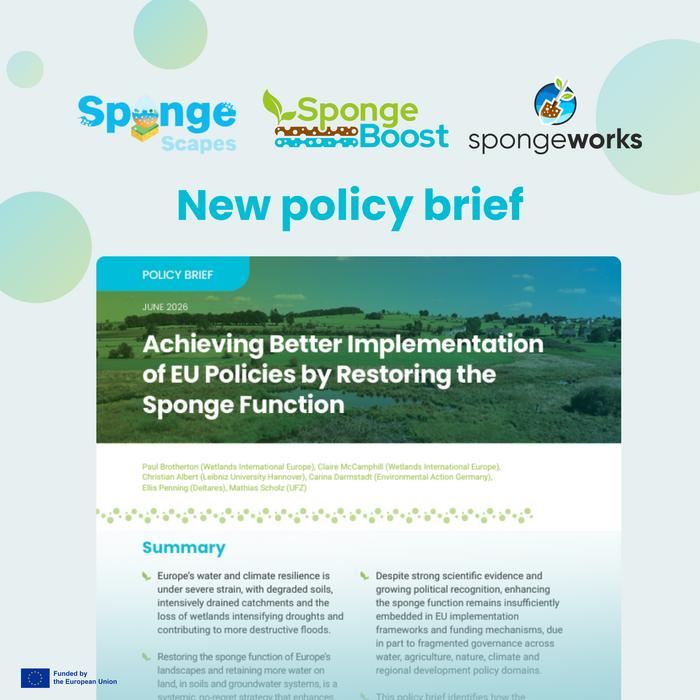 Policy brief