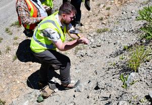 Geosciences