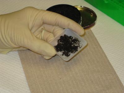 Smokeless Tobacco