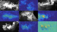 Exhaled material moves in a jet