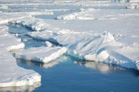Arctic Sea-Ice