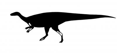 Sustut Dinosaur
