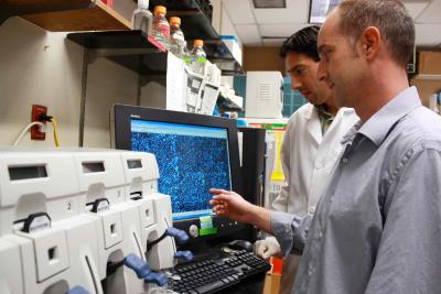 Gene Chip Analysis