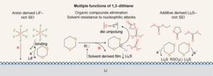 Additive's action mechanisms at the lithium anode interface.