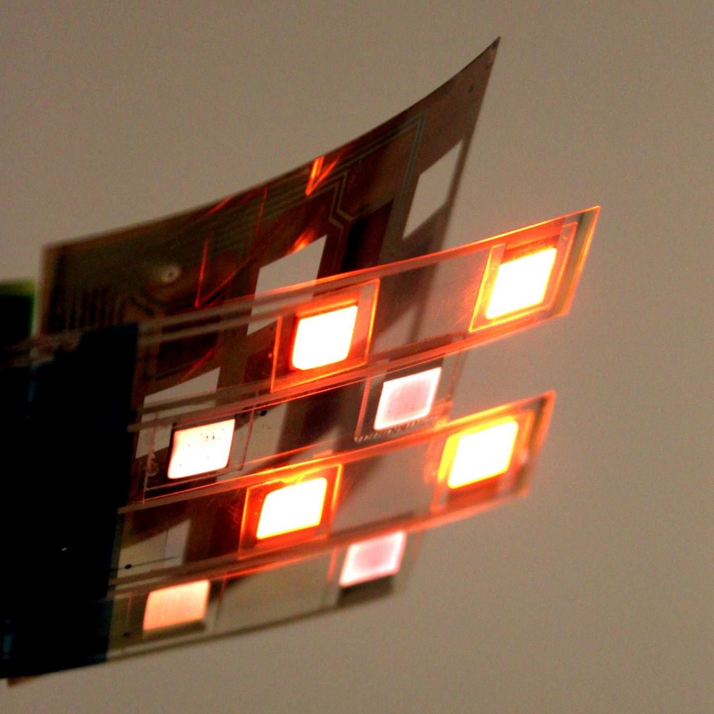 Oximeter Array Assembly