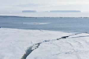 Polar ice