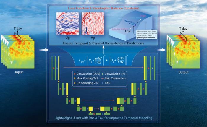 Architecture and loss function design of GTU-Net