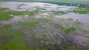 No bosses, no problem! Pre-Hispanic farmers built giant water system bottom-up, archaeologists reveal
