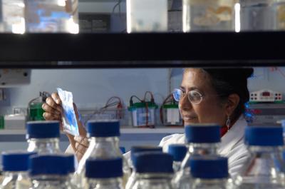 Dr. Vasanta Subramanian, University of Bath