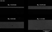 Spontaneous Contraction of Microtubules