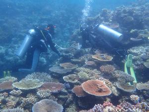Collecting coral samples at Hicks Reef on GBR_P2280088_©AIMS