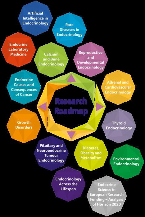 EndoCompass chapters