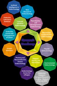 EndoCompass chapters