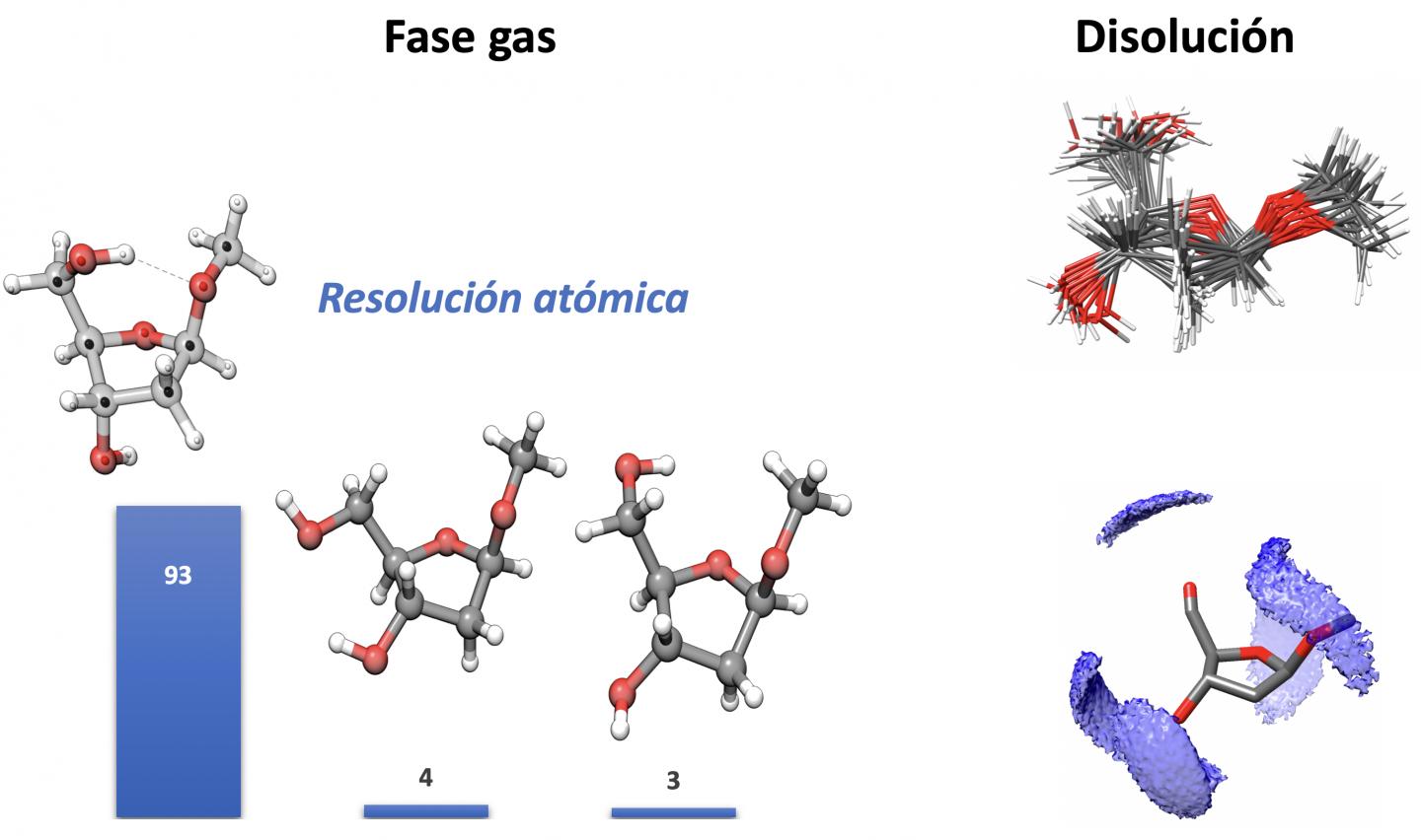 Population and structures of each of the forms observed of the sugar that forms part of DNA.