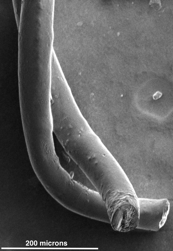 Nanofibers