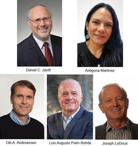 Brain & Behavior Research Foundation
