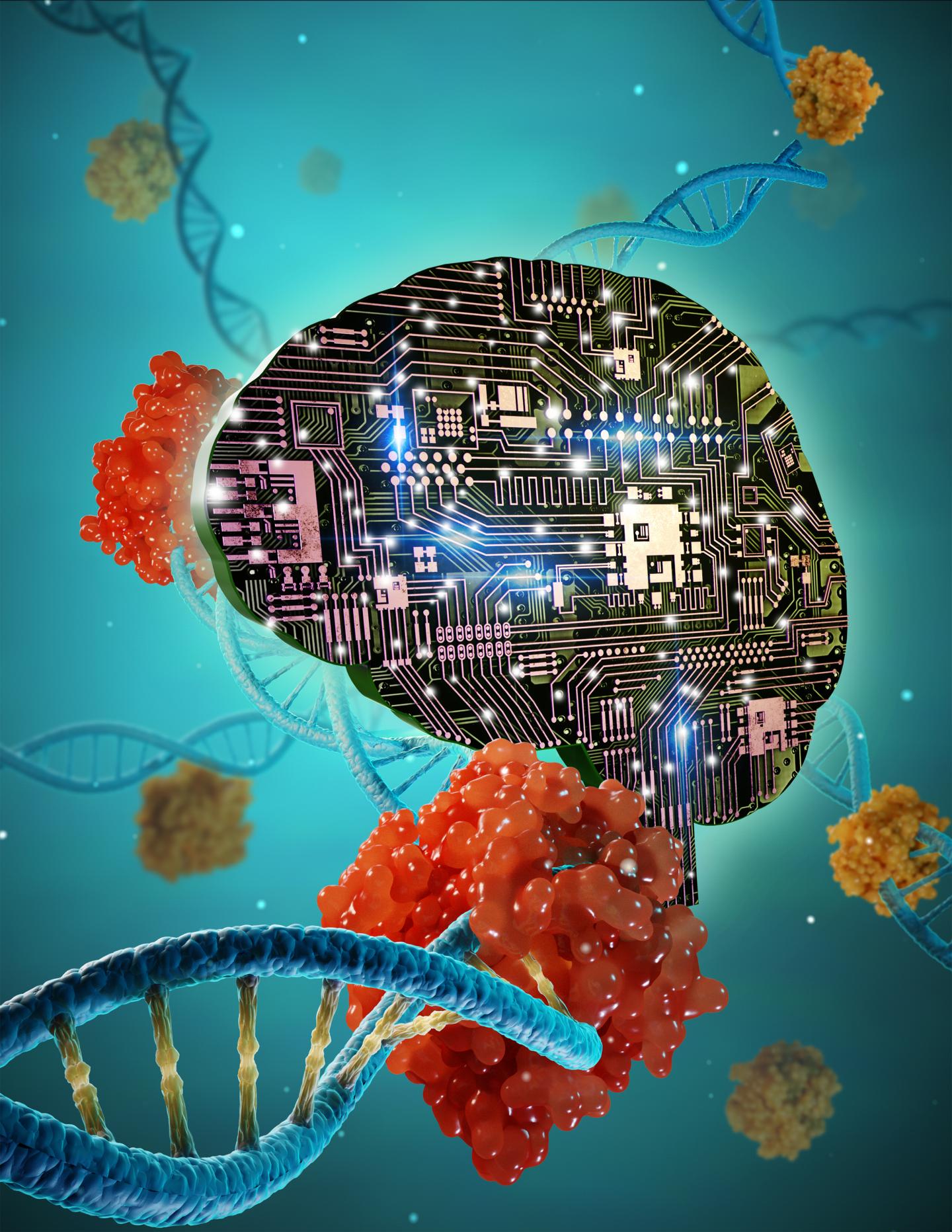 Deep Learning-Based Model Accurately Predicts How CRISPR-Cas9 Edits the Genome (1 of 2)