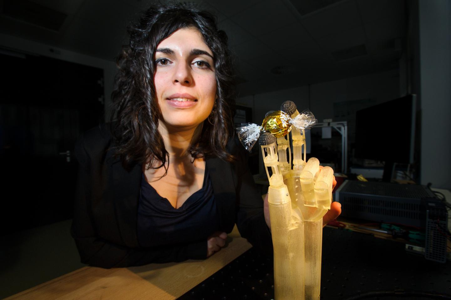 Artificial Hand