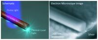 Schematic and SEM of Plasmon Laser Setup