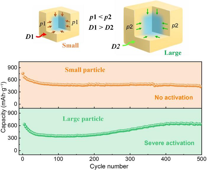 Size-dependent activation behavior arising from a “core-shell” reaction mode