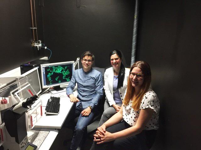 Team of Researchers