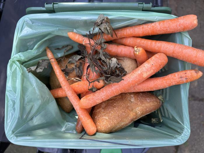 Wasted food