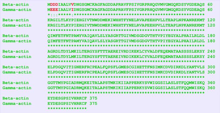 Silent Code
