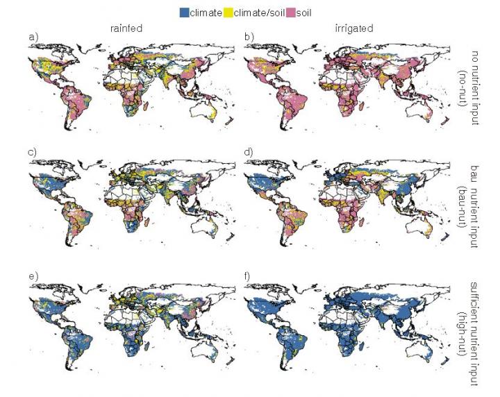 Soil vs. Climate in Crop Models
