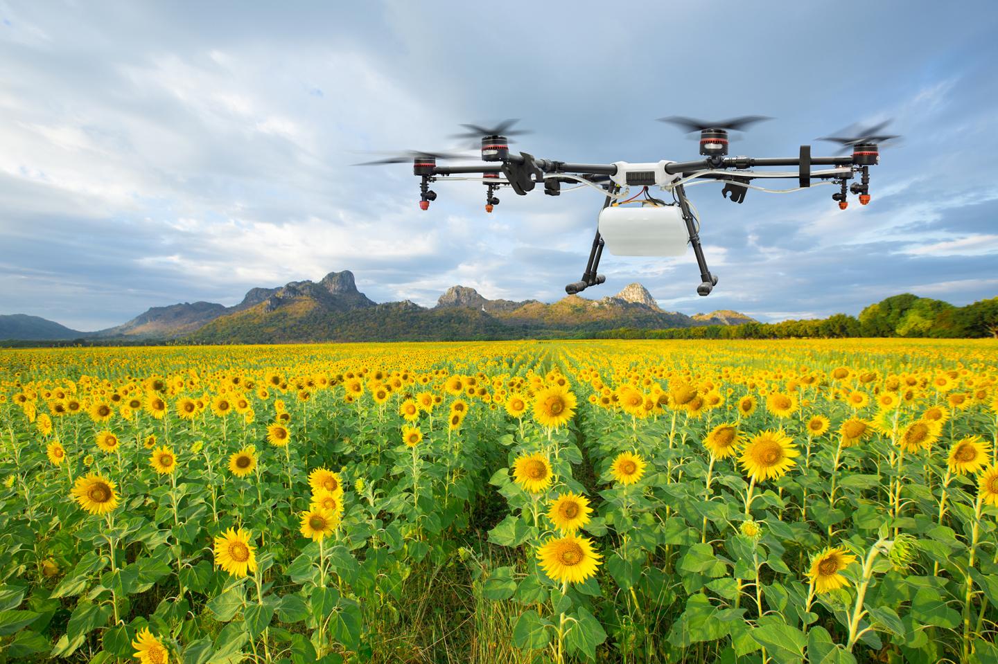 UAVs in Agriculture