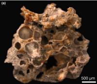 Fossilized Bubbles 2