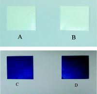A New Antimicrobial Paint