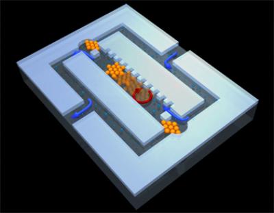 Microspheres in a Magnetic Field