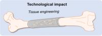 Technological Impact
