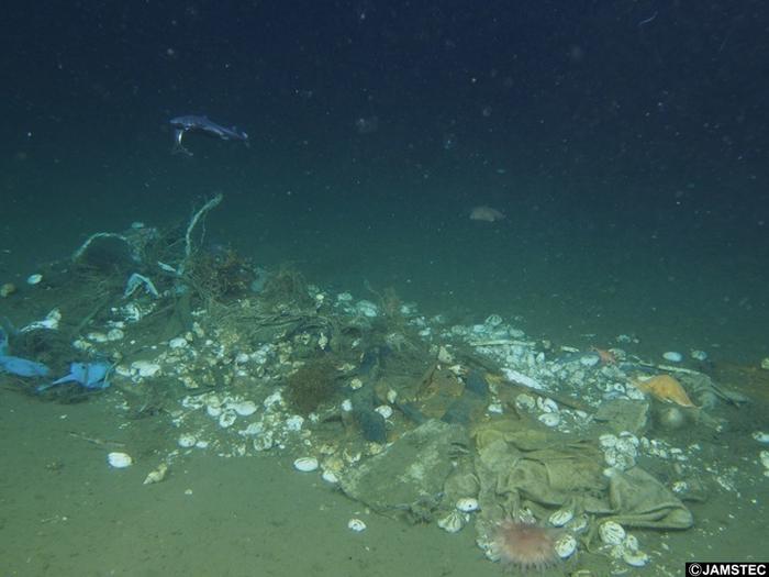 A roadmap for combating marine litter across the globe