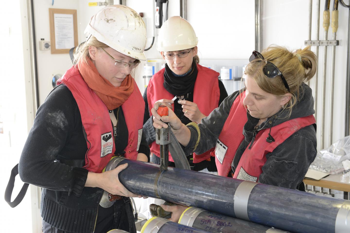 Subsection of Sediment Core