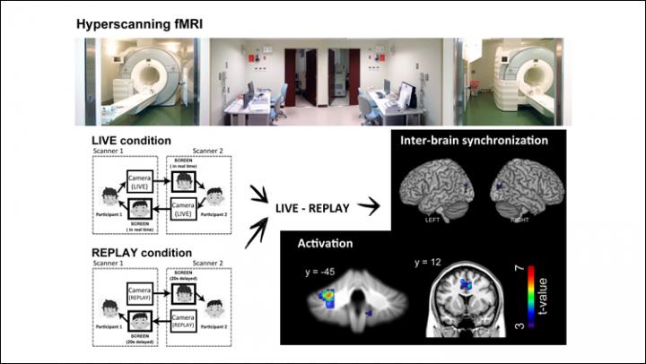 Visual Abstract