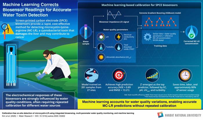 Machine learning-based biosensor calibration for MC-LR toxin monitoring