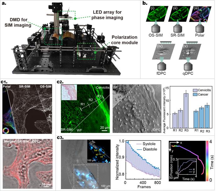 Figure | Multimodal imaging capability of the MFPM system