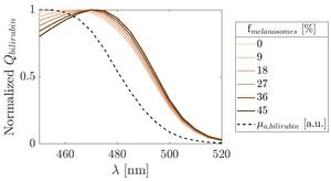 The wavelength at which the absorbed dose by bilirubin peaks varies from 460 nm for light skin to 470 nm for dark skin.