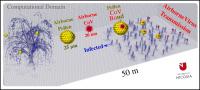 Tree Pollen Carries SARS-CoV-2 Particles Farther, Facilitates Virus Spread