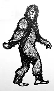 Bigfoot illustration 2
