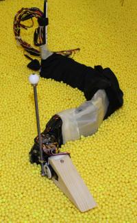 Sandfish Robot Goldman