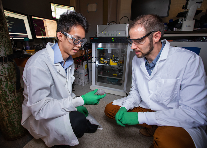 Advanced cell manufacturing