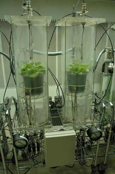 Simulation Chambers