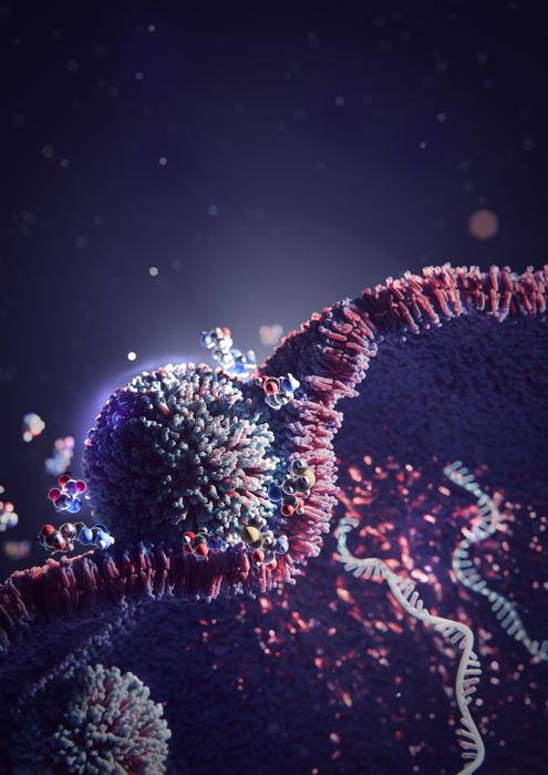 Lipid nanoparticle supplemented by amino acids fusing with the cell membrane.