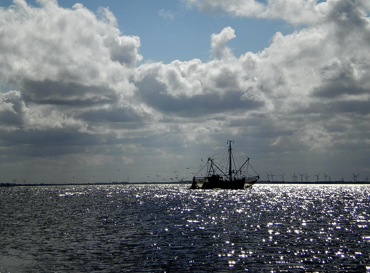 Mediterranean Sea
