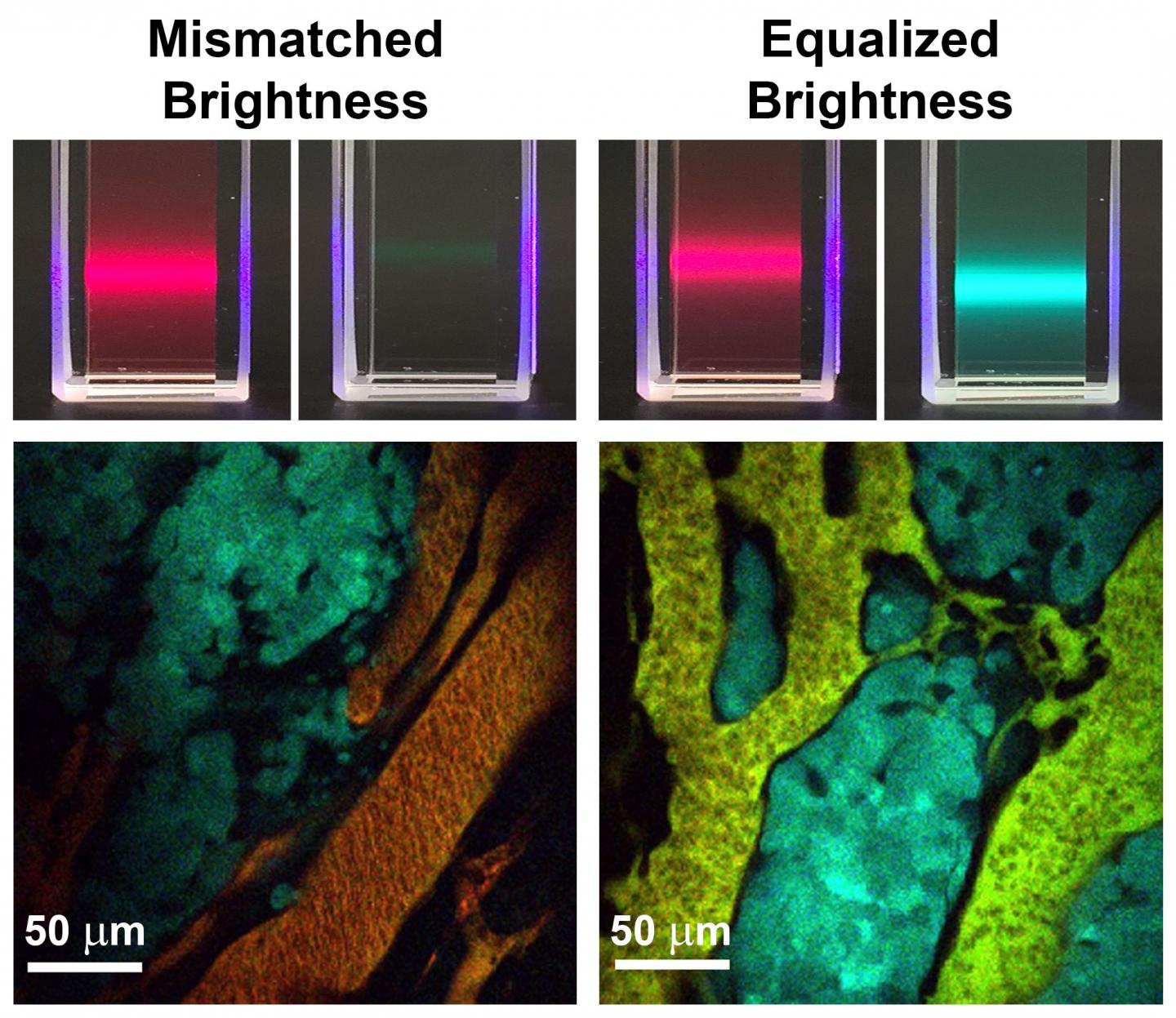 Quantum Dots
