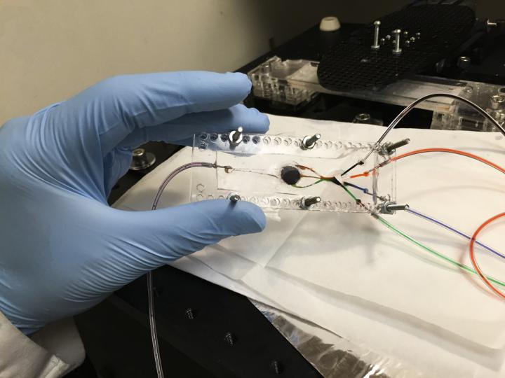 3D Printer That Can Create Complex Biological Tissues