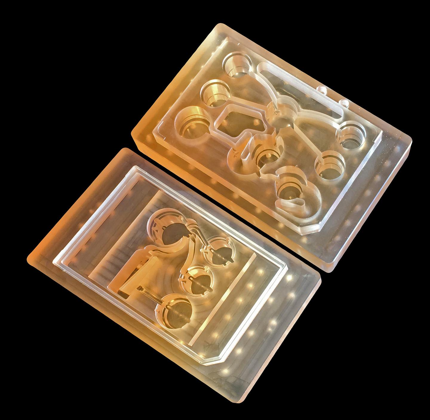 'Body on a Chip' Could Improve Drug Evaluation
