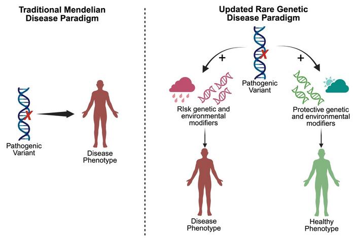 Proposed Updated Rare Genetic Disease Paradigm